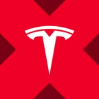 The Tesla xStock